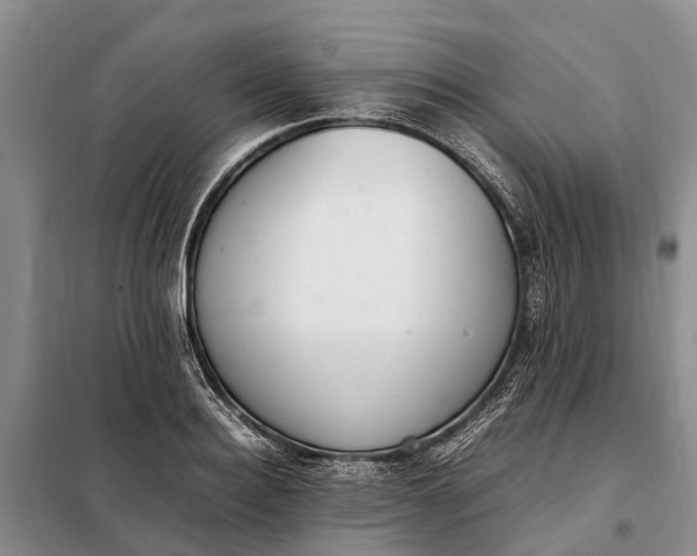 X0000097980940200804071121