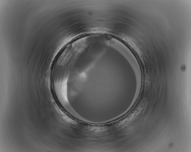 X0000097980941200804071121