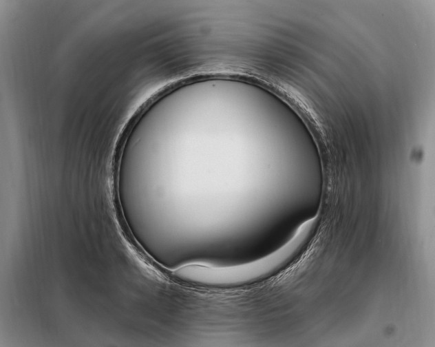 X0000097980942200804071121