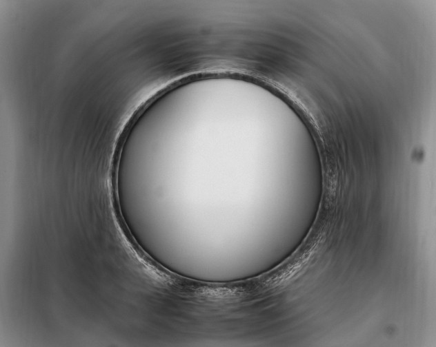 X0000097980943200804071121