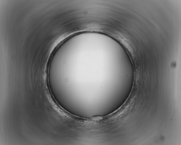 X0000097980944200804071121