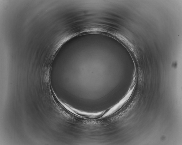 X0000097980945200804071121