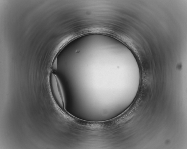 X0000097980946200804071121