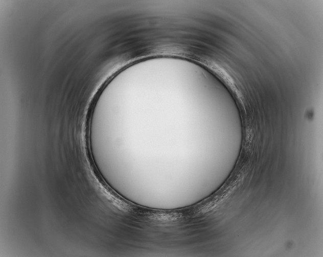X0000097980947200804071121