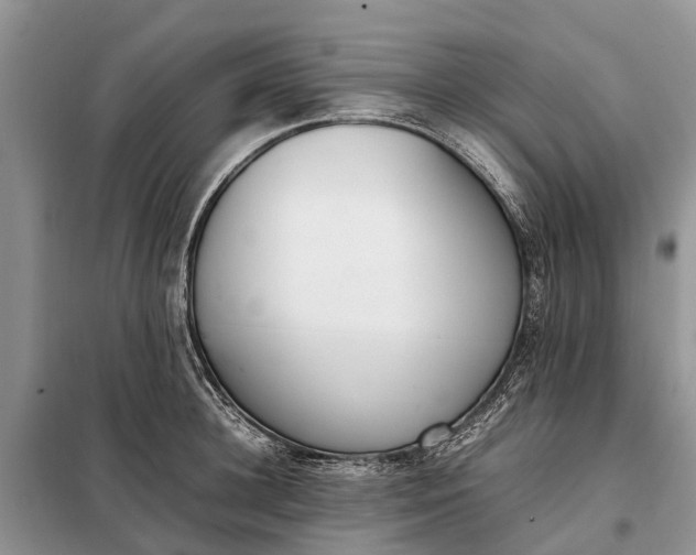 X0000097980948200804071121