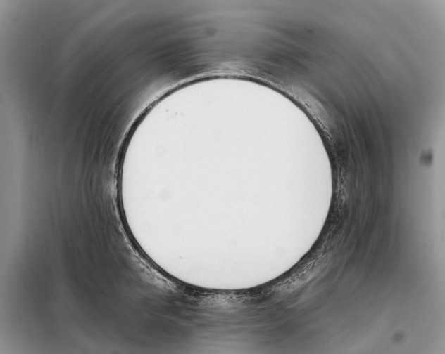 X0000097980950200804071121