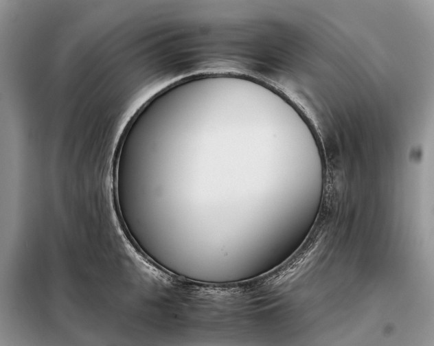 X0000097980951200804071121
