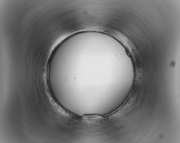 X0000097980952200804071121