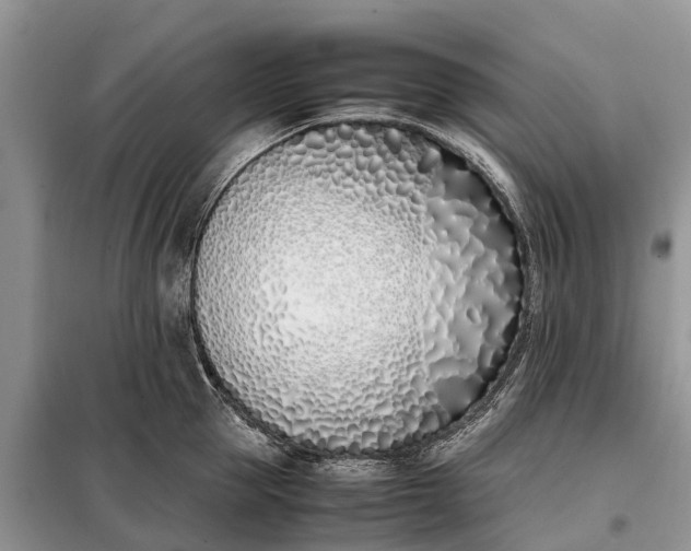 X0000097980953200804071121