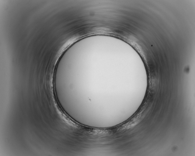 X0000097980954200804071121