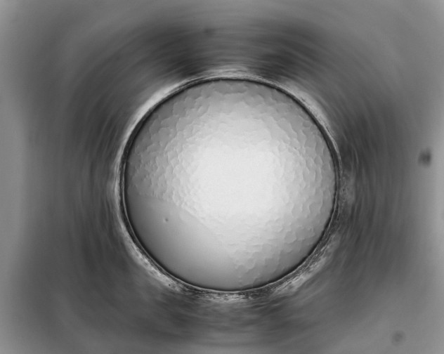 X0000097980957200804071121