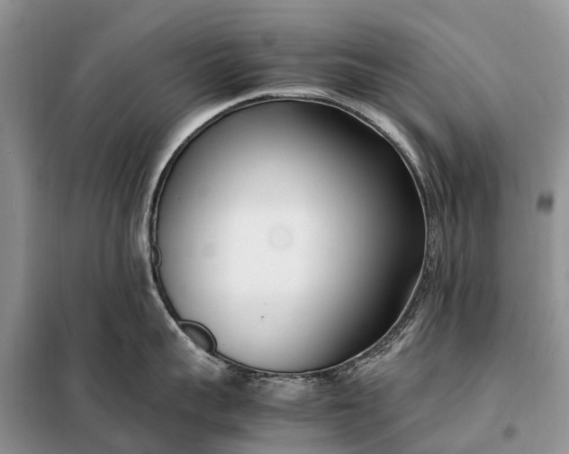 X0000097980959200804071121
