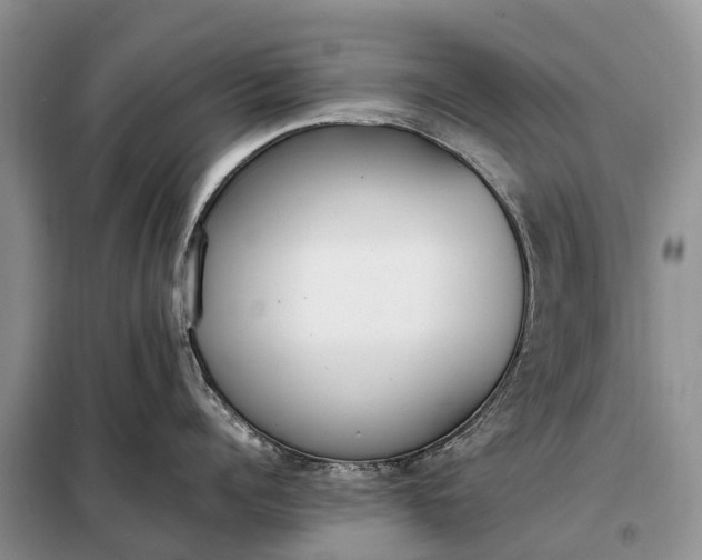 X0000097980960200804071121