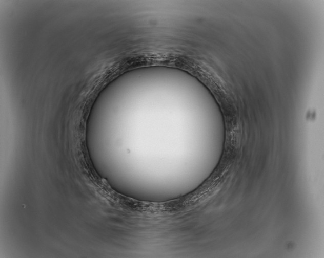 X0000097980961200804071120