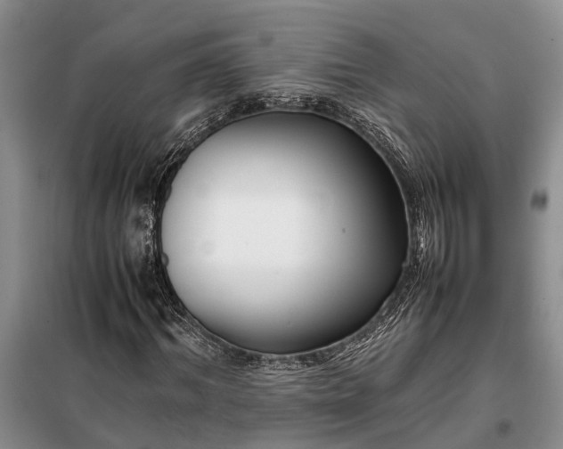 X0000097980964200804071120