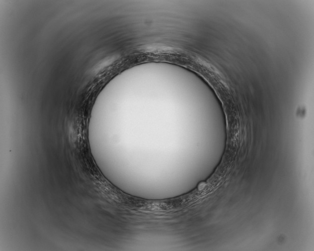 X0000097980966200804071120