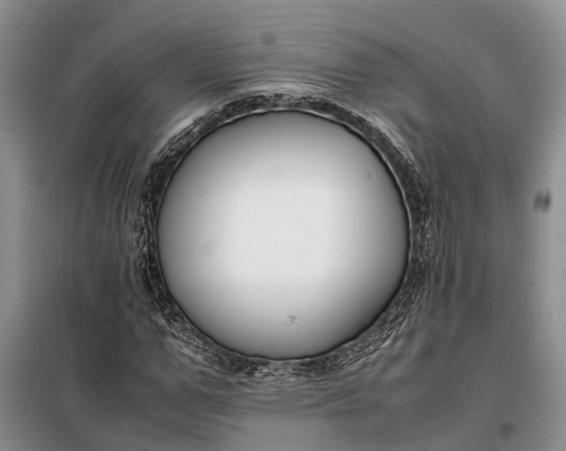 X0000097980967200804071120