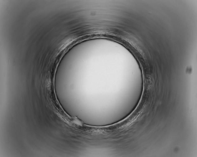 X0000097980969200804071120