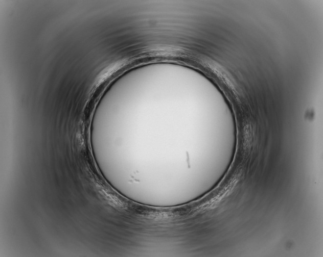 X0000097980970200804071120