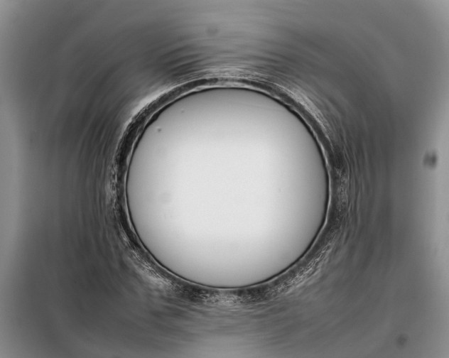 X0000097980971200804071120