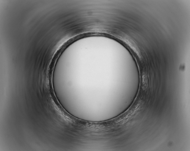 X0000097980972200804071120