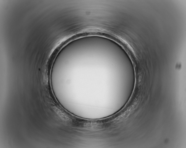 X0000097980973200804071120