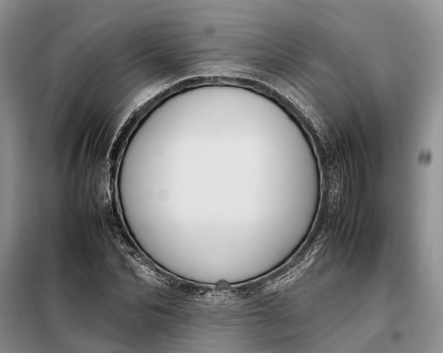 X0000097980974200804071120