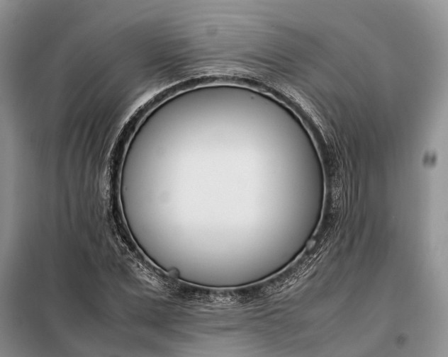 X0000097980975200804071120