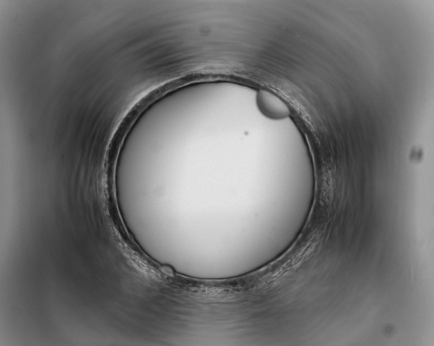 X0000097980976200804071120