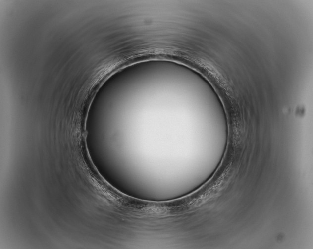 X0000097980977200804071120