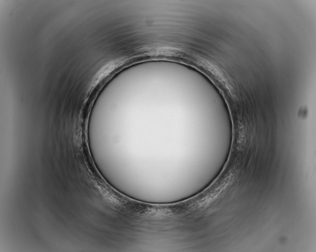 X0000097980978200804071120
