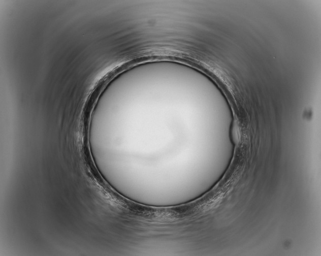 X0000097980979200804071120