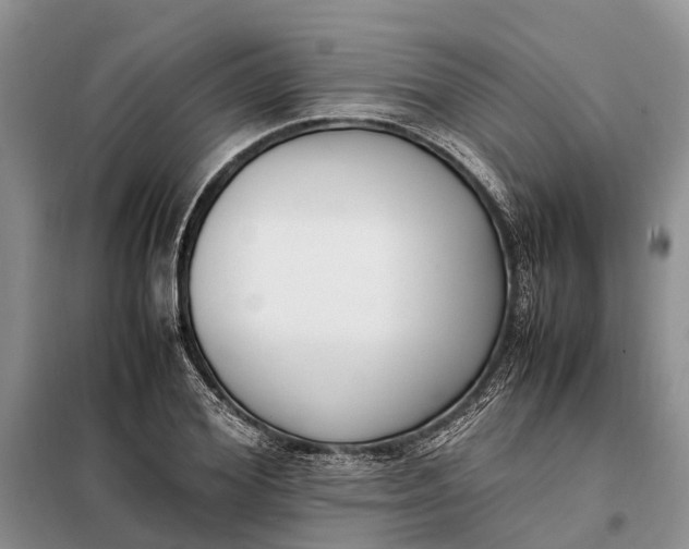 X0000097980980200804071120