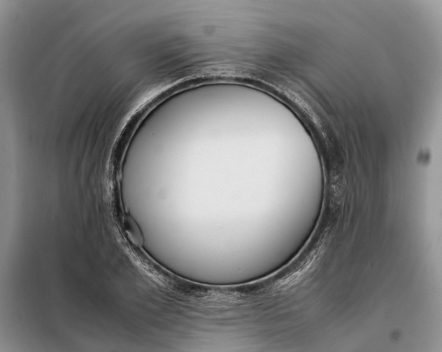 X0000097980981200804071120