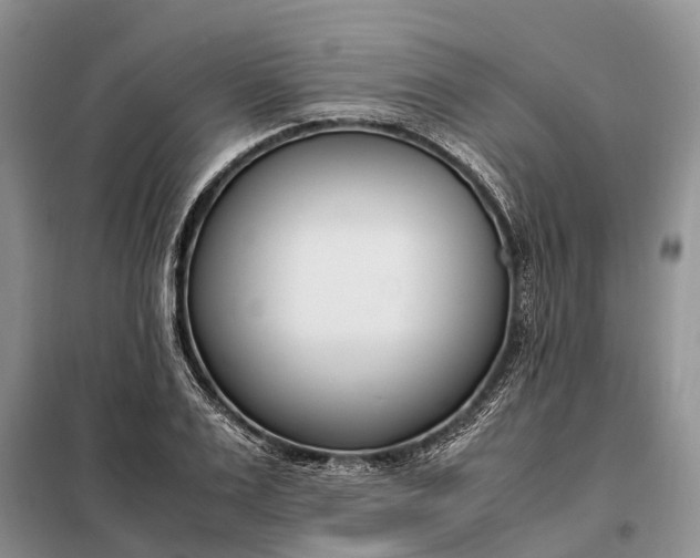 X0000097980983200804071120