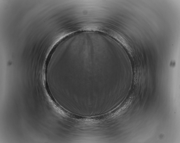 X0000097980984200804071120
