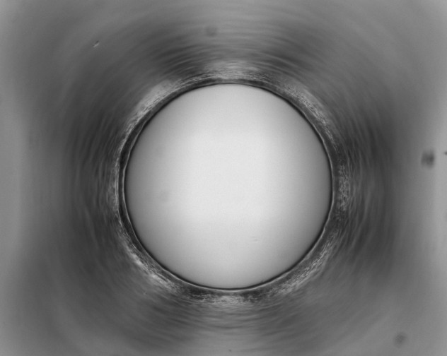 X0000097980986200804071120
