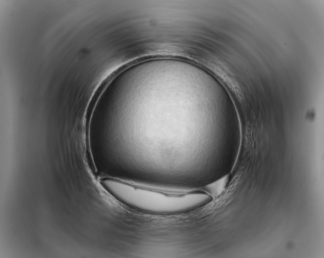 X0000097980988200804071120