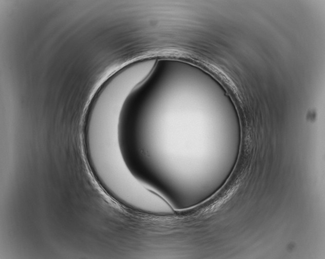 X0000097980989200804071120