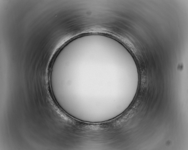 X0000097980990200804071120