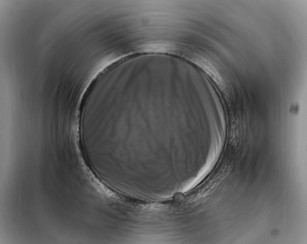 X0000097980992200804071120
