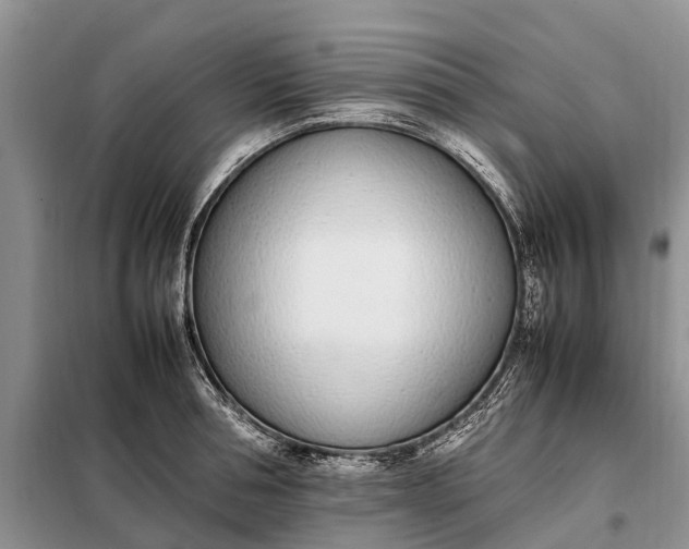 X0000097980994200804071120