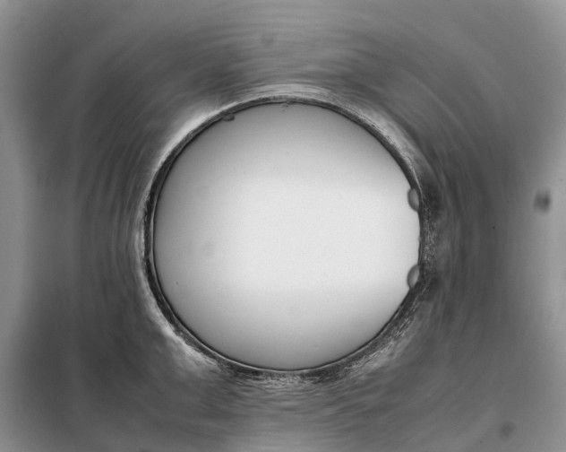 X0000097980999200804071120