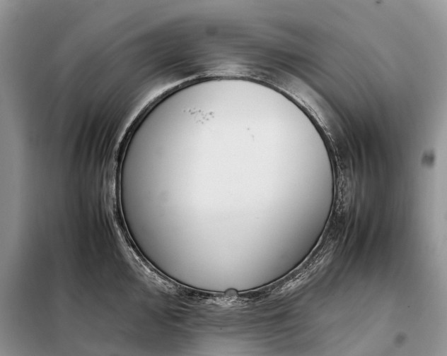 X0000097981000200804071120
