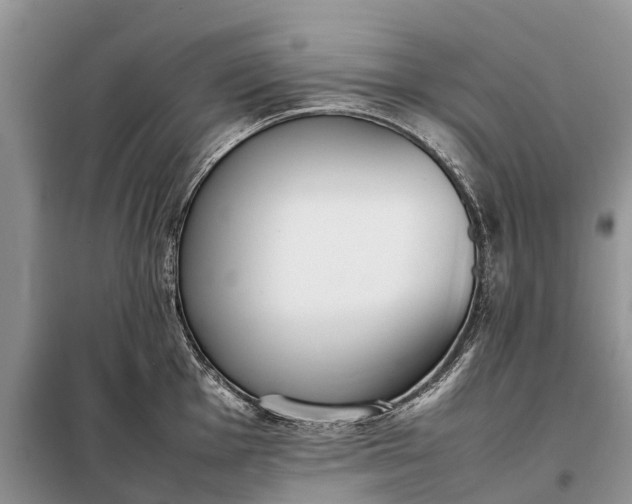X0000097981001200804071120