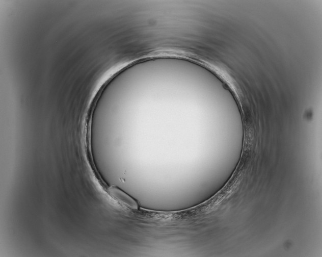 X0000097981003200804071120
