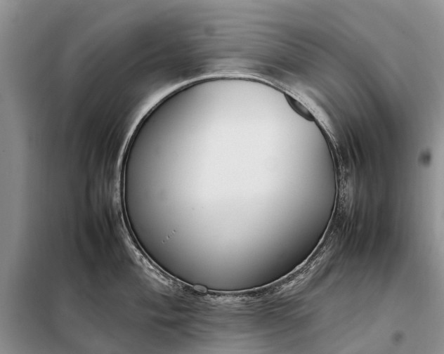 X0000097981004200804071120