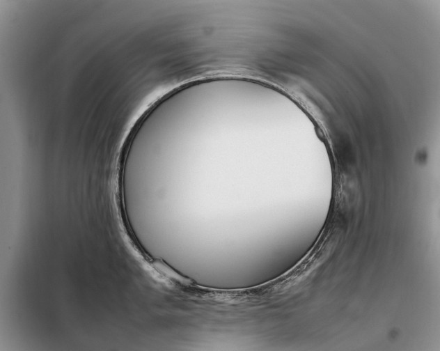 X0000097981005200804071120
