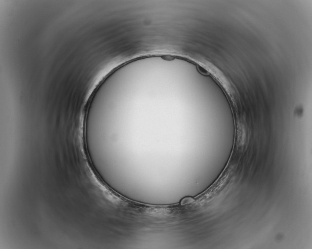 X0000097981006200804071120