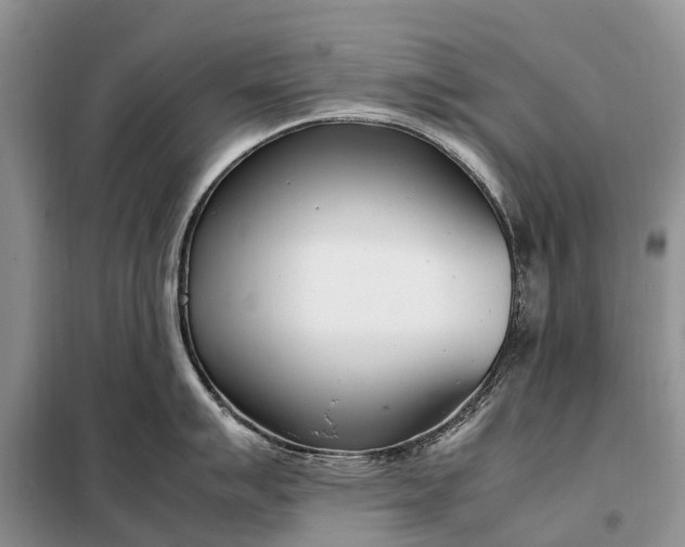 X0000097981007200804071120